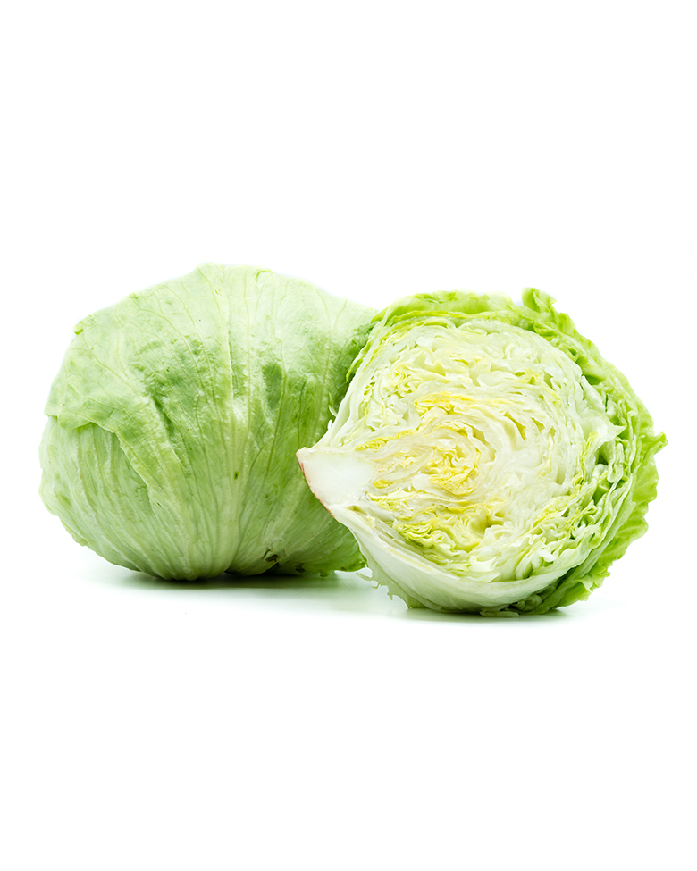 Insalata iceberg (1 pianta) gr. 5/600