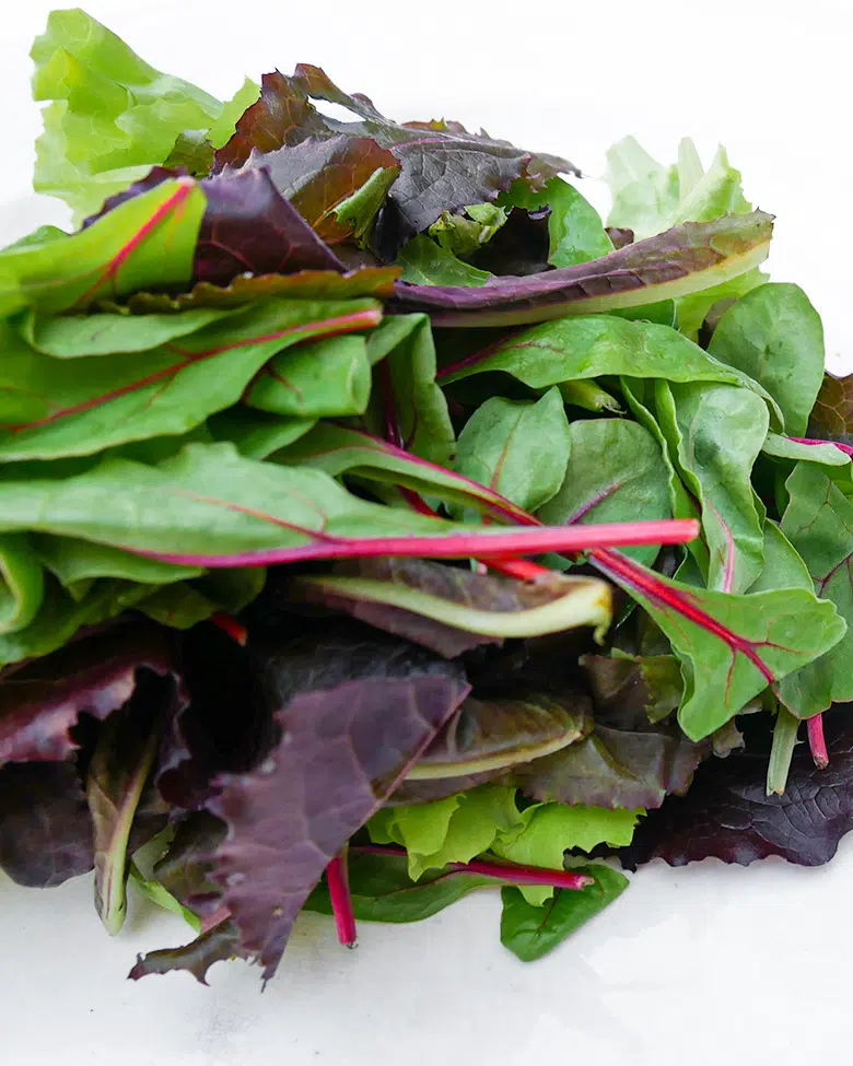 Insalatina a taglio pulita 100gr - immagine 3