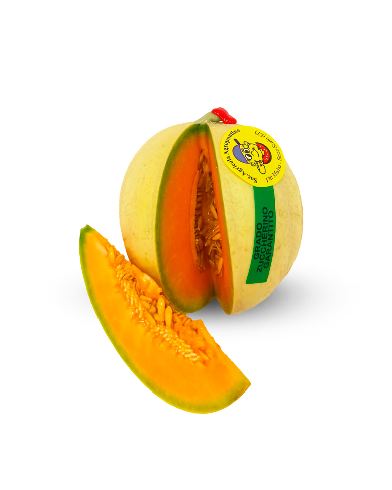 melone francesino tagliato e fetta in primo piano