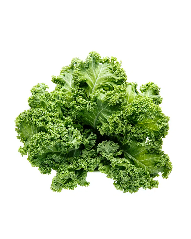 Cavolo riccio 500gr