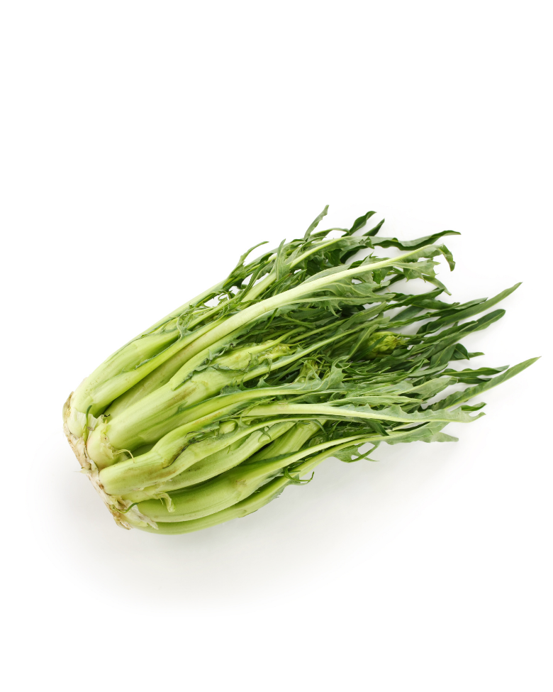 pianta di puntarelle