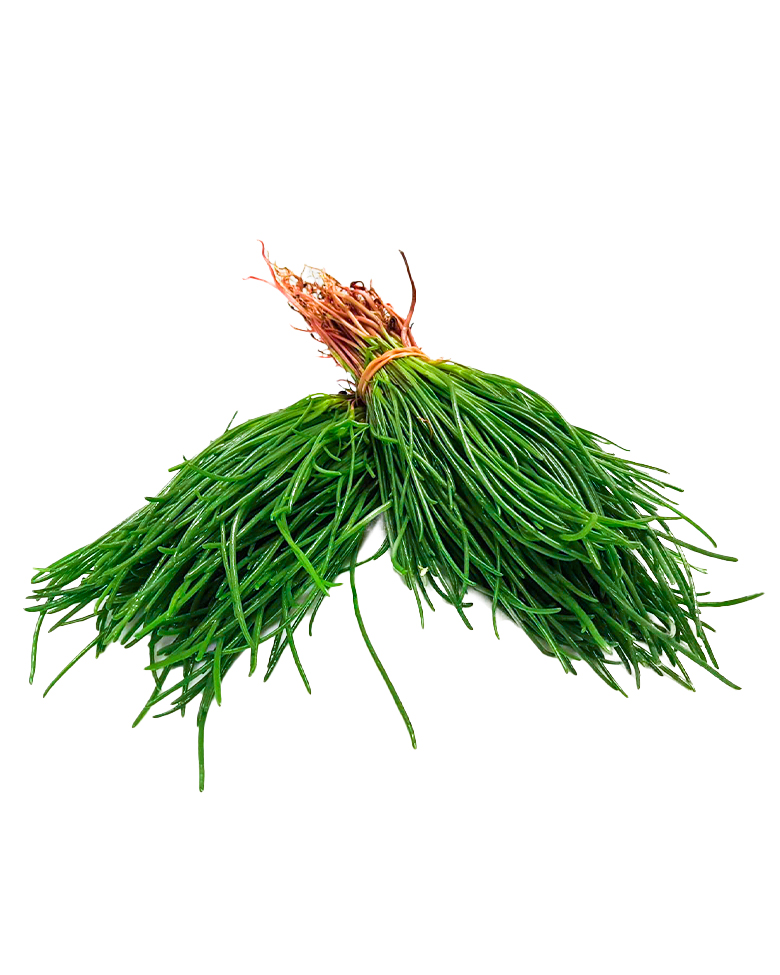 agretti