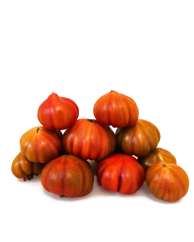 pomodori costoluti