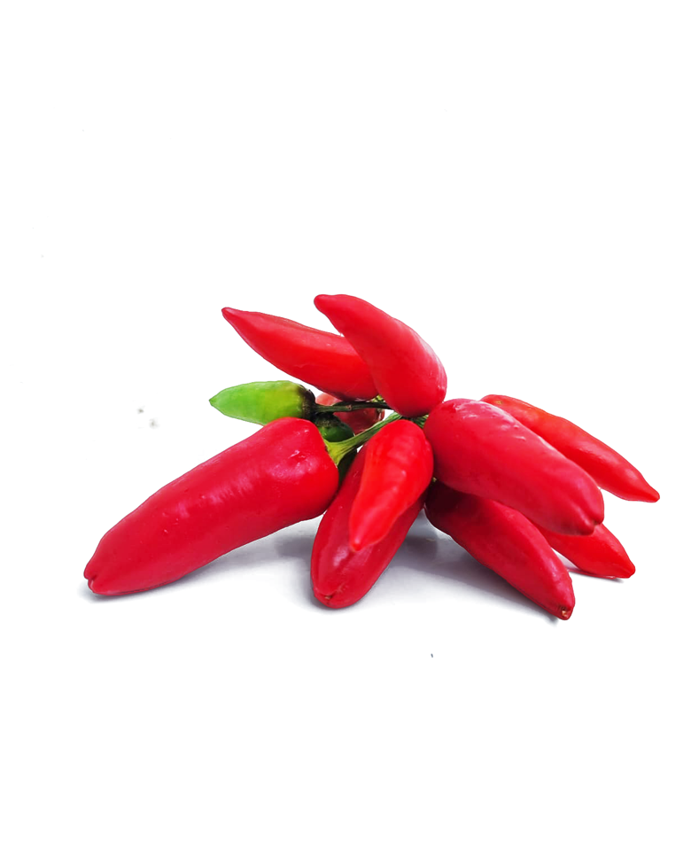 un mazzo di peperoncini freschi su sfondo bianco