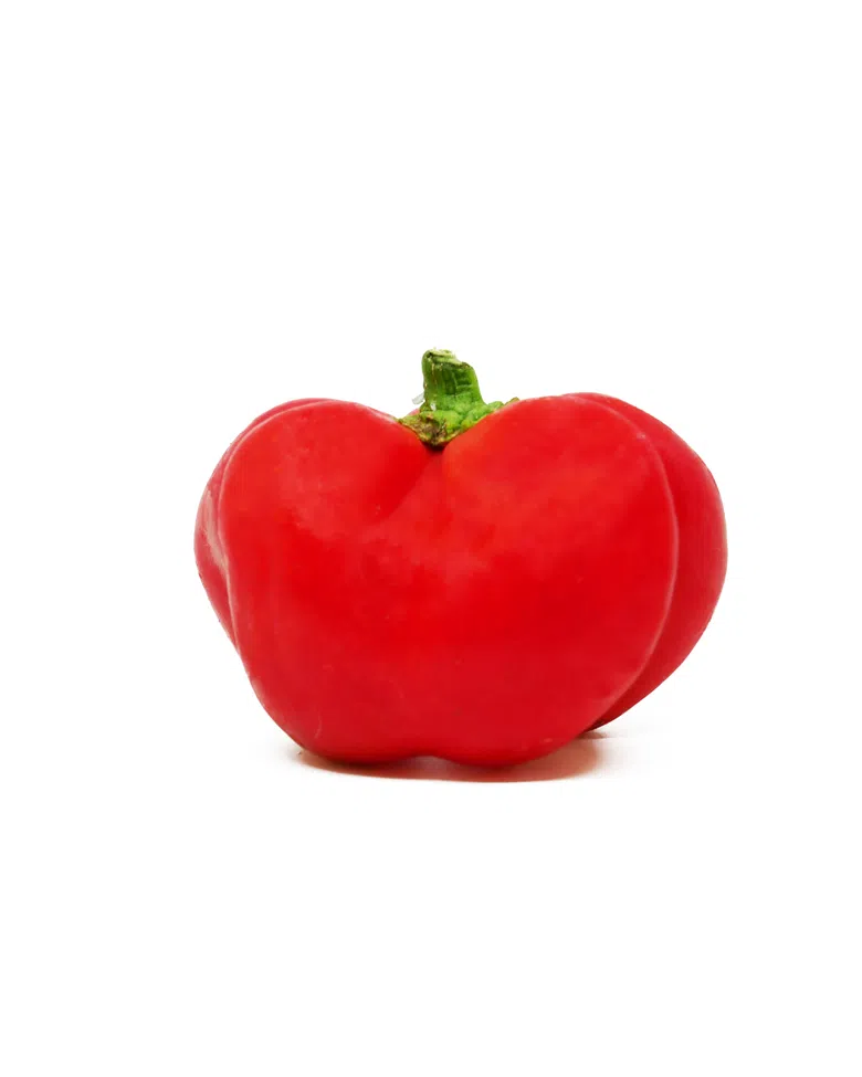 Peperone rosso tondo