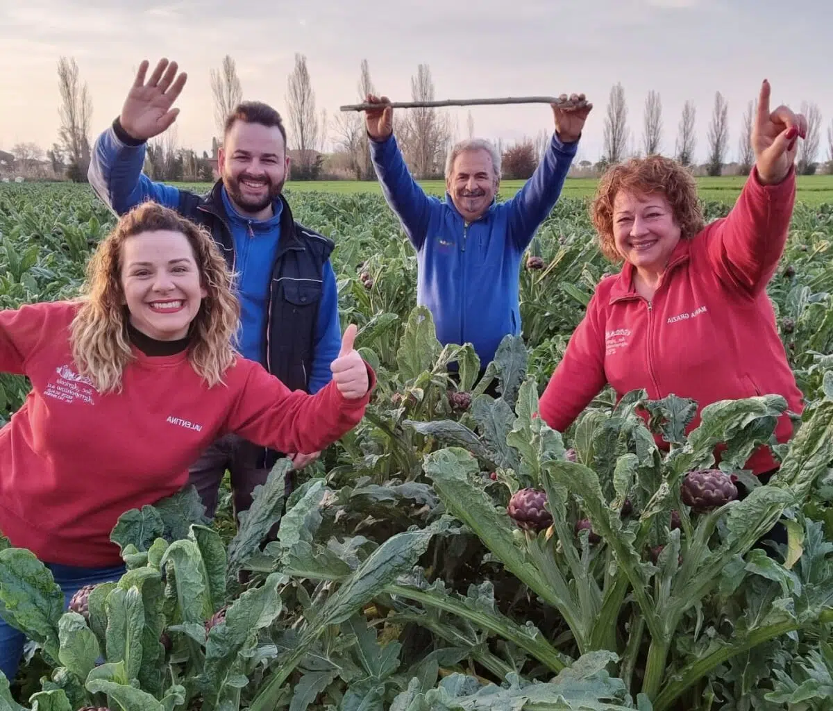 La famiglia Bottoni allegra in un campo di carciofi dell'Agro pontino