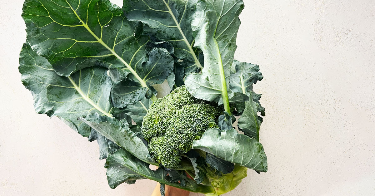 Broccolo siciliano