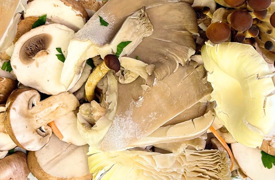 Funghi misti freschi visti dall'alto