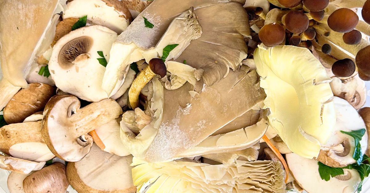 Funghi misti freschi visti dall'alto