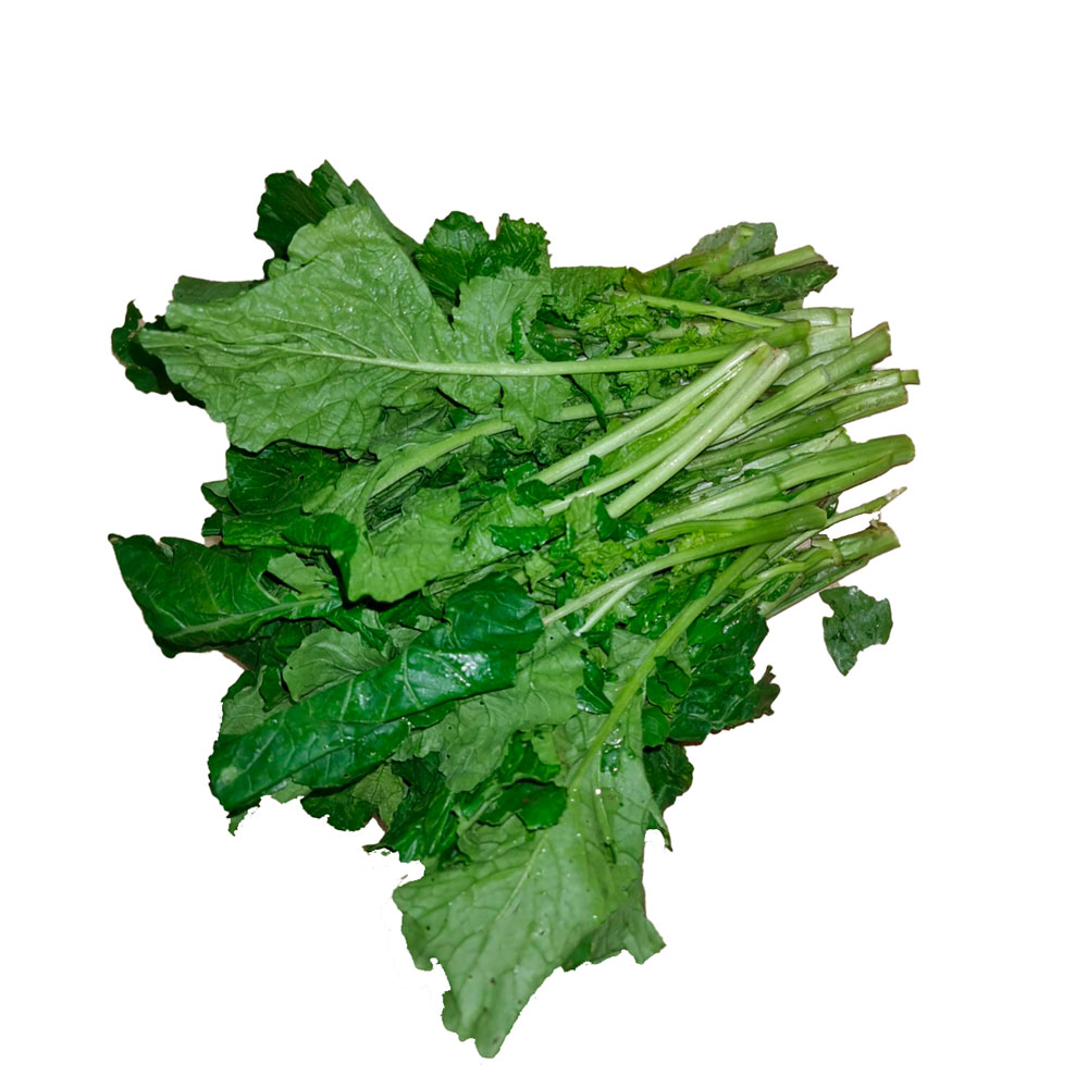 rapette