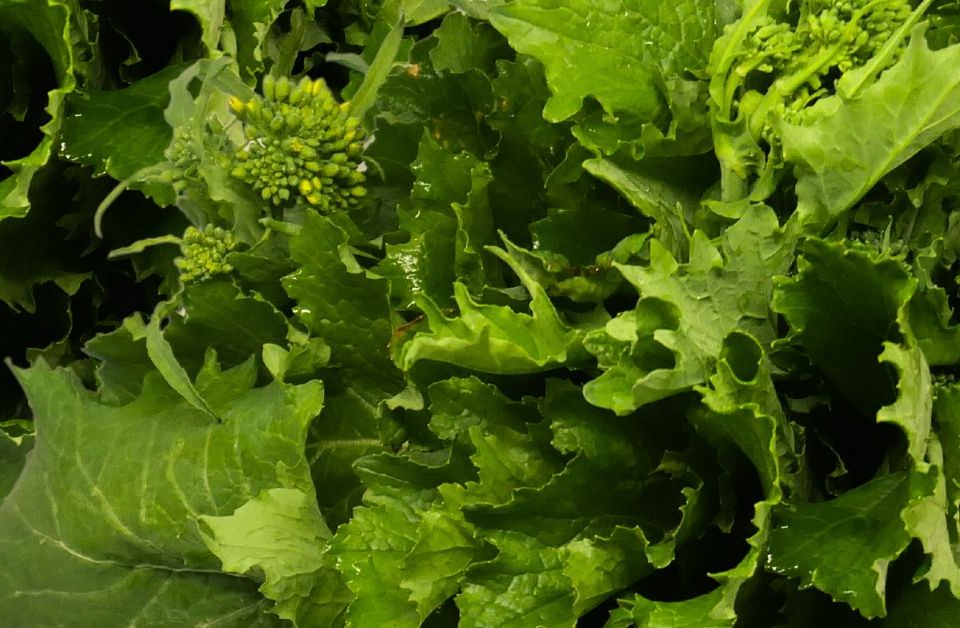Fogli di broccoletti