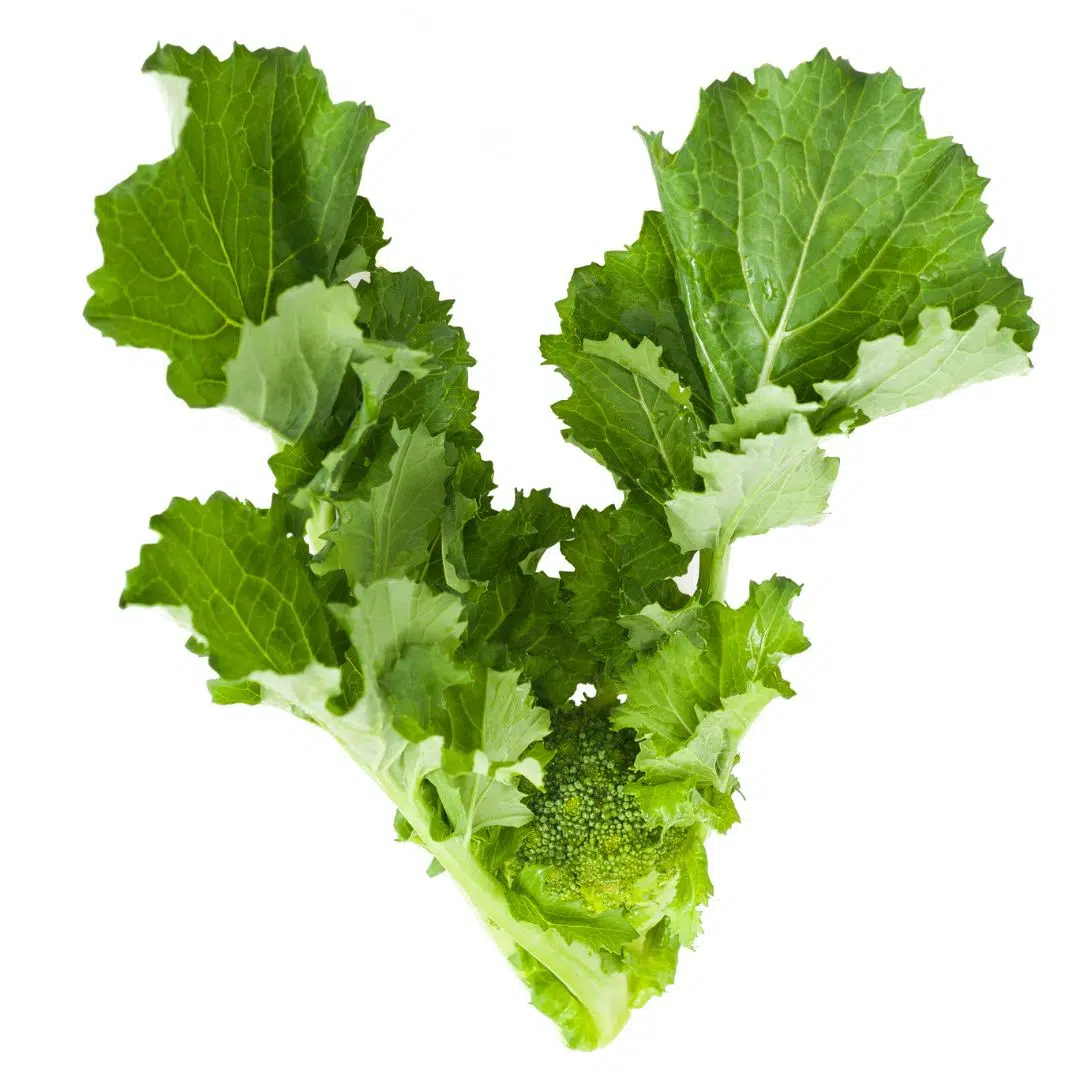 Cime ri rapa su sfondo bianco