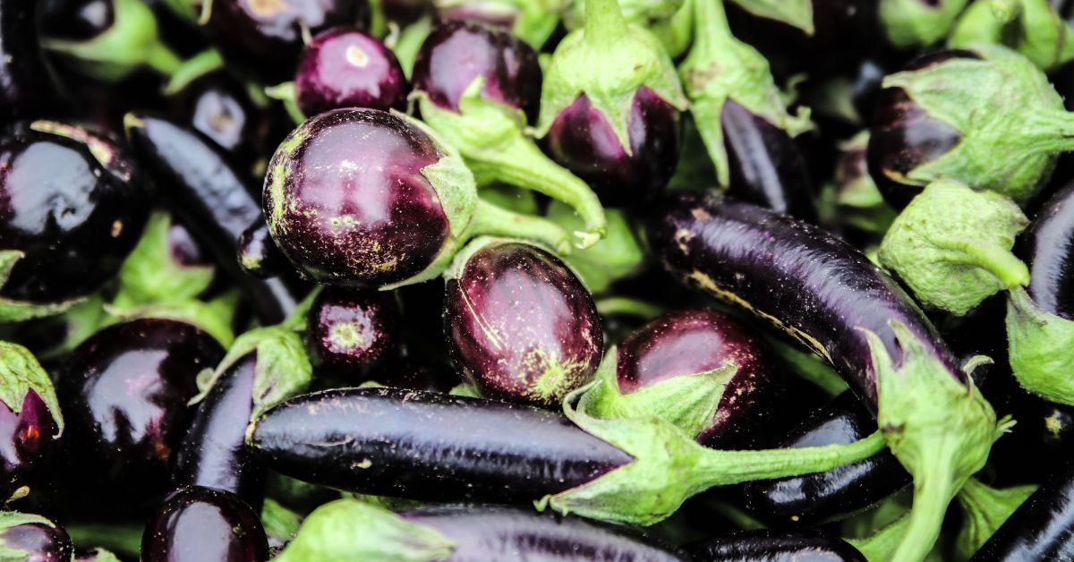 melanzane