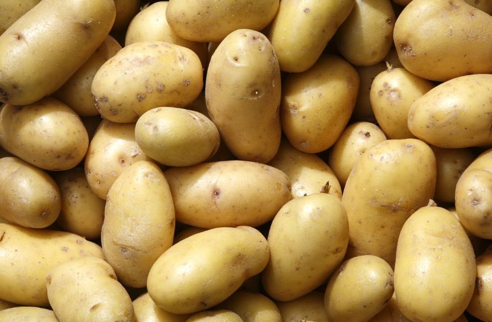 Pattern di patate novelle