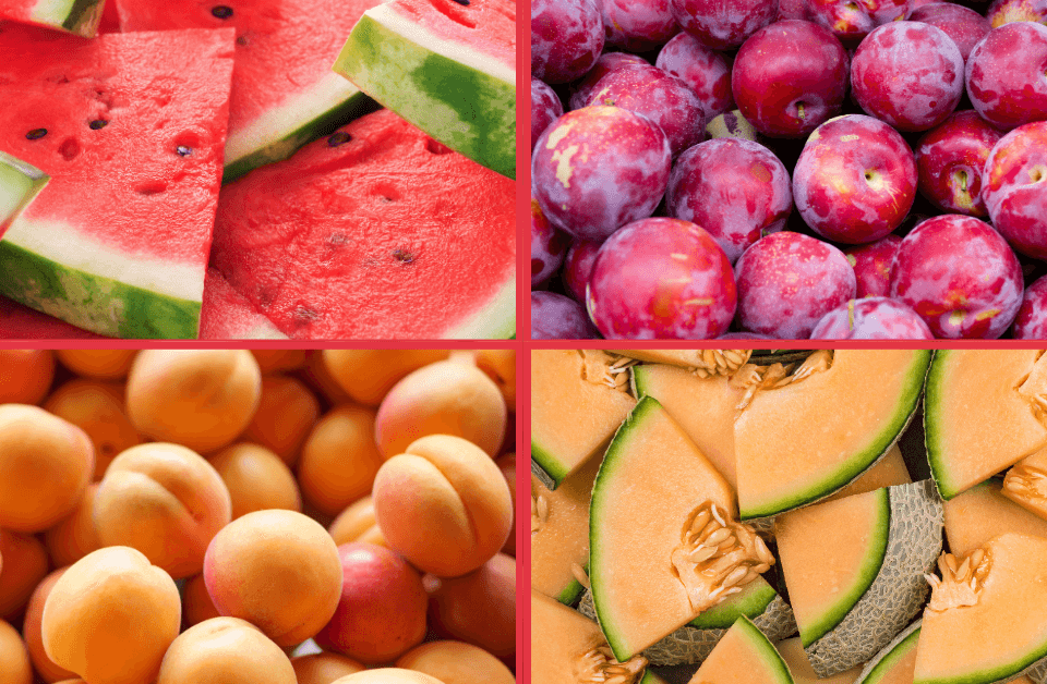 Fette di cocomero, prugne rosse, albicocche, fette di melone