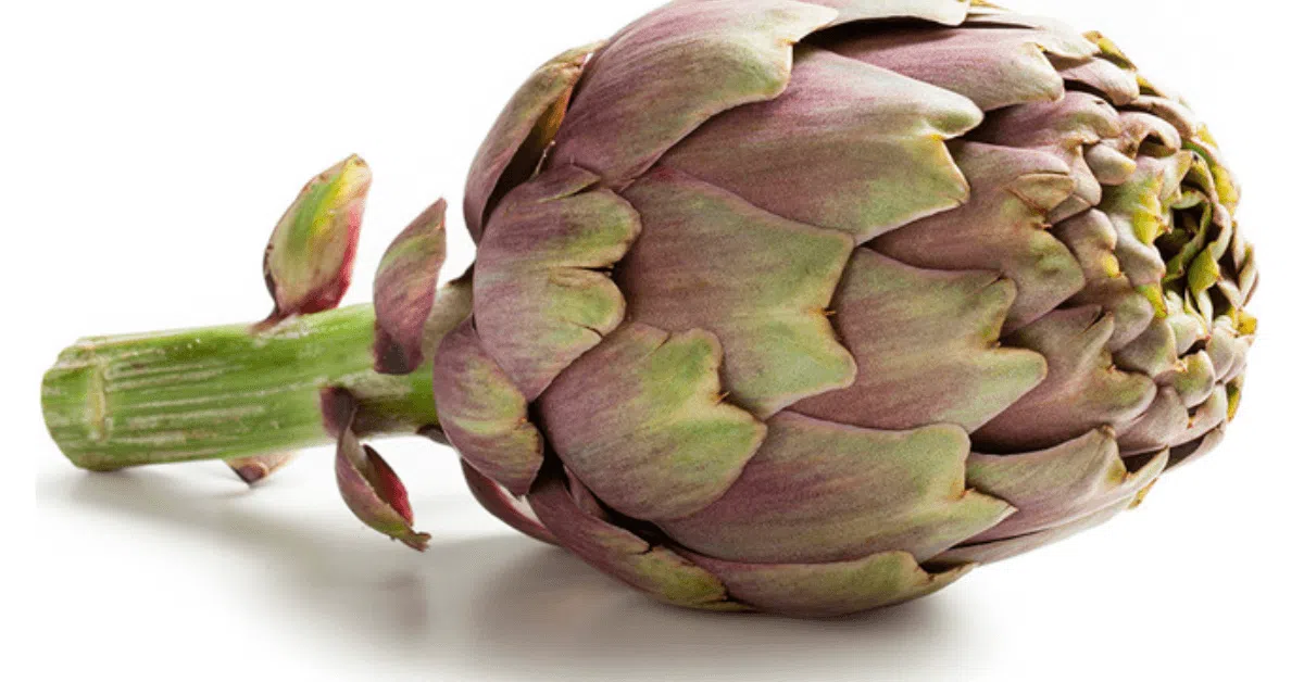 Un carciofo violetto