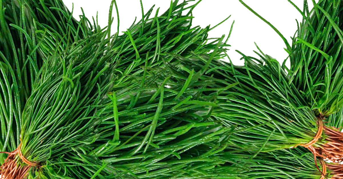 Mazzi di agretti crudi