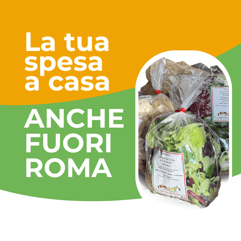 La tua spesa a casa anche fuori Roma