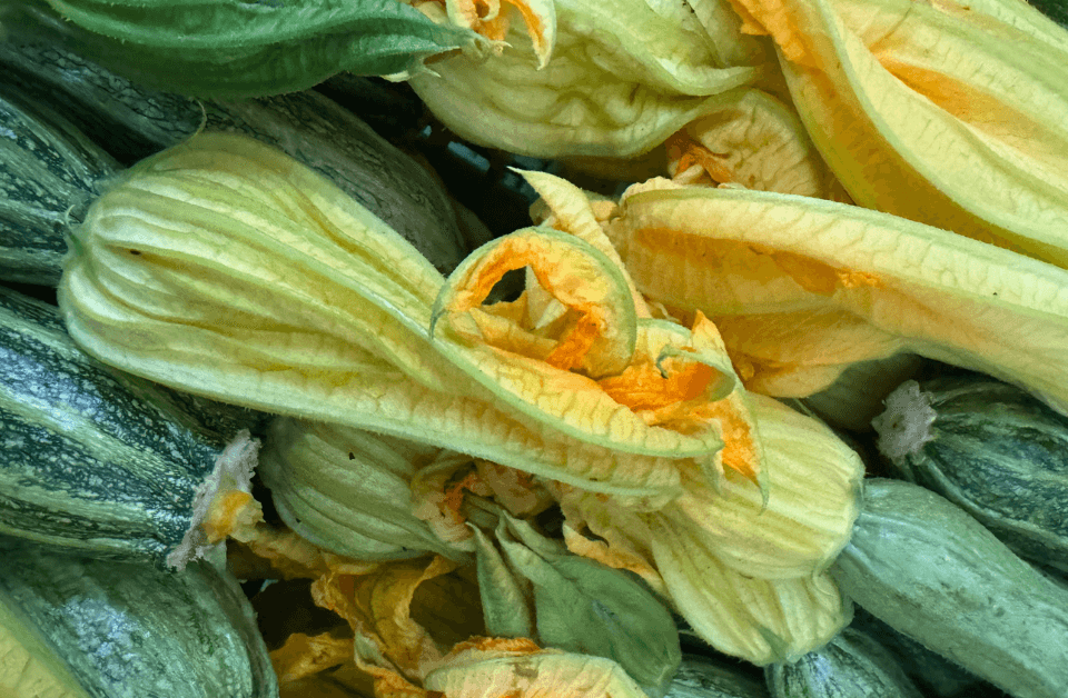 Zucchine romanesche con fiore viste dall'alto
