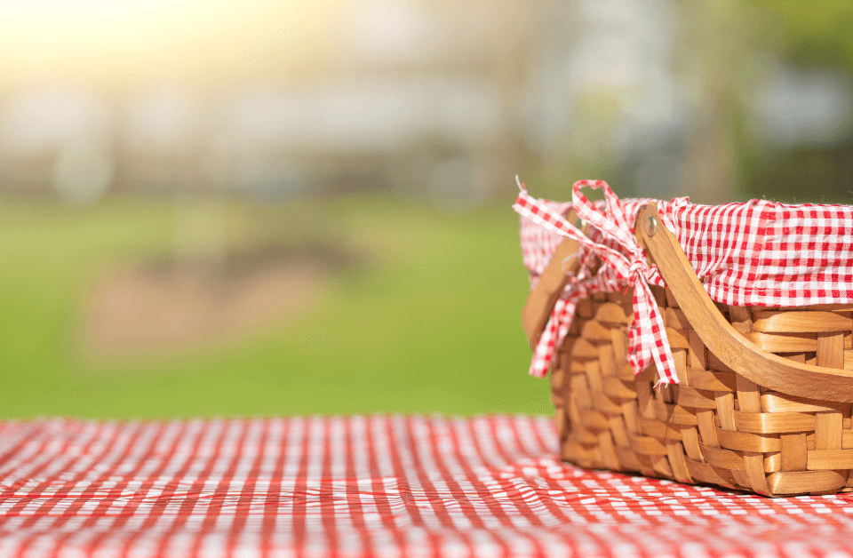 tovaglia a quadri con cestini per picnic