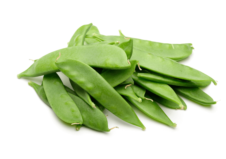 taccole fresche