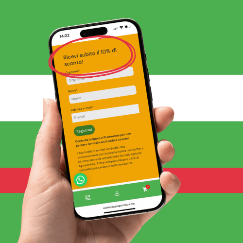 schermo smartphone con schermata modulo iscrizione newsletter