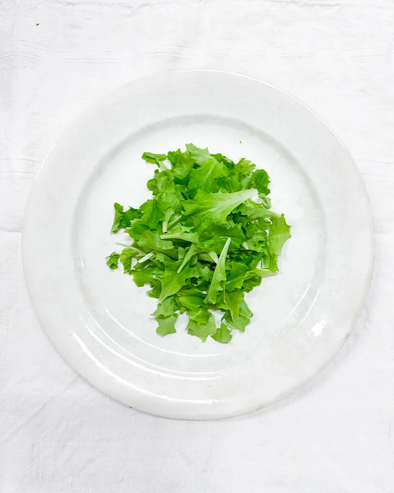 piatto con foglie lattughino verde pulito